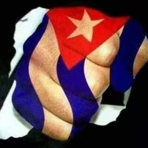 Meet your Posher, Ernesto